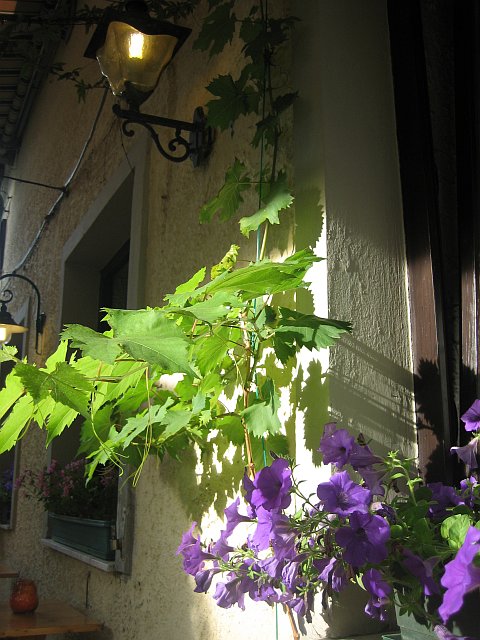 287 - Vienna 2007